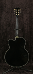 Washburn J-9 MIK