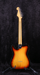 
                            SX VTG SEA2PH Tele Thinline HH MIC 2021